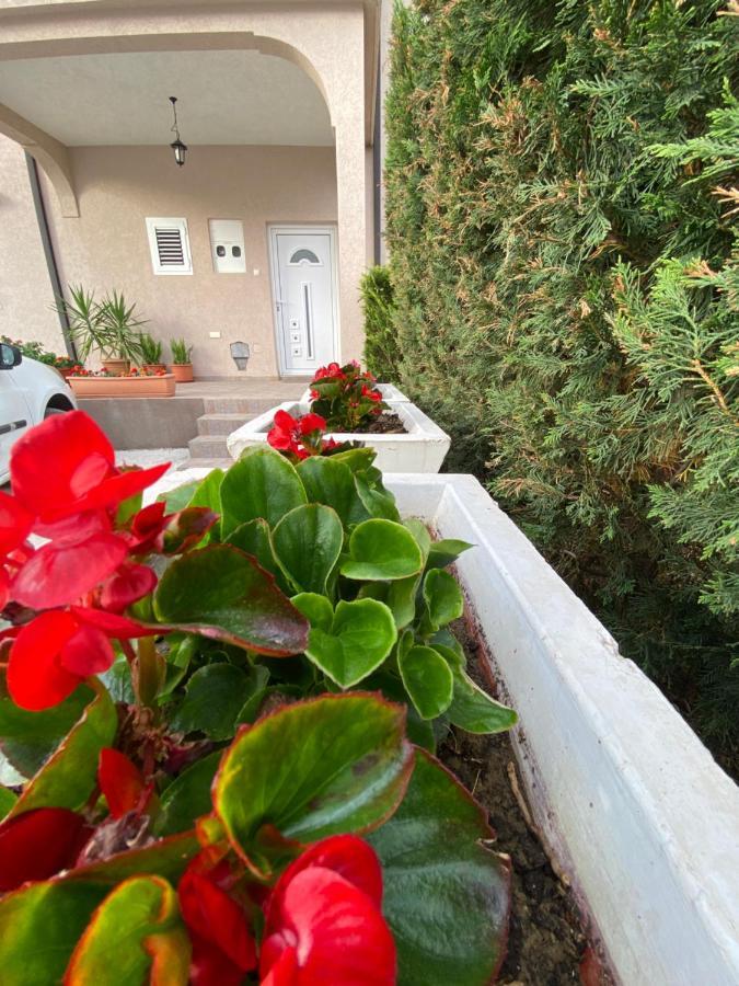 Momentera Apartments Kotor Dış mekan fotoğraf